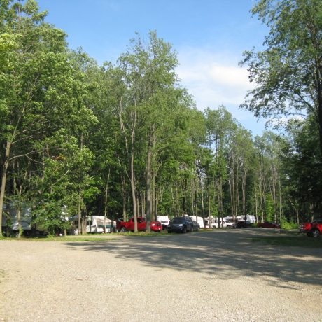 view of RVs parked at Sparrow Pond Family Campground